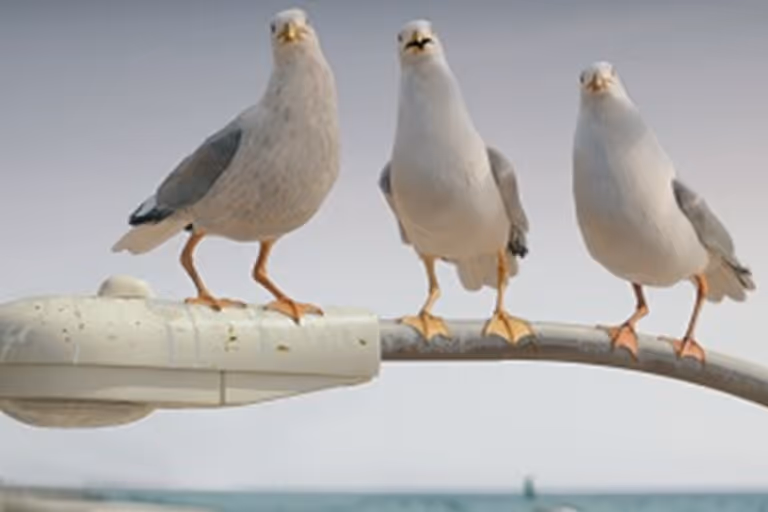 Meeuwen uit de commercial van Allianz Direct